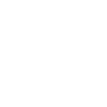 Opción 1