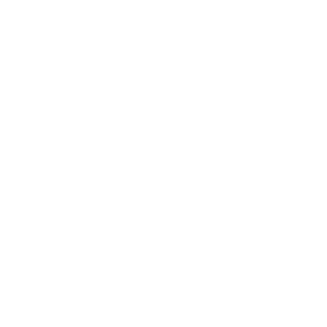 Opción 2